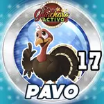 PAVO