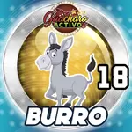 BURRO