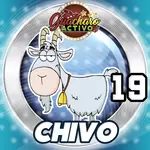 CHIVO