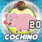 20