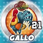 GALLO