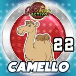 CAMELLO