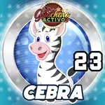 CEBRA