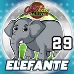 ELEFANTE