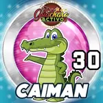CAIMÁN