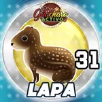 LAPA