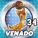 VENADO