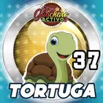 37
