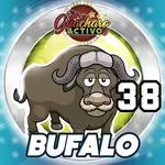 38