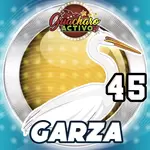 GARZA