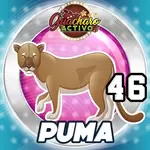 46