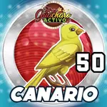 CANARIO