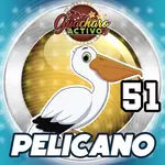 PELICANO