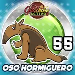 OSO HORMIGUERO