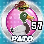 PATO