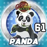 61