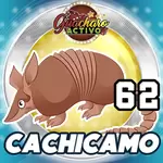 CACHICAMO