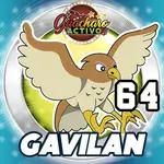 64