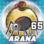 ARAÑA