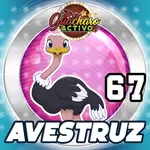 AVESTRUZ