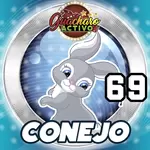 CONEJO