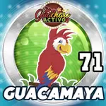 GUACAMAYA