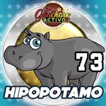 HIPOPOTAMO