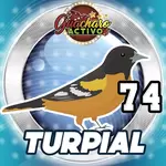74