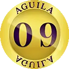 09