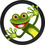 06