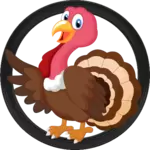 17