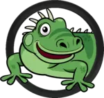 24