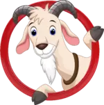 CHIVO