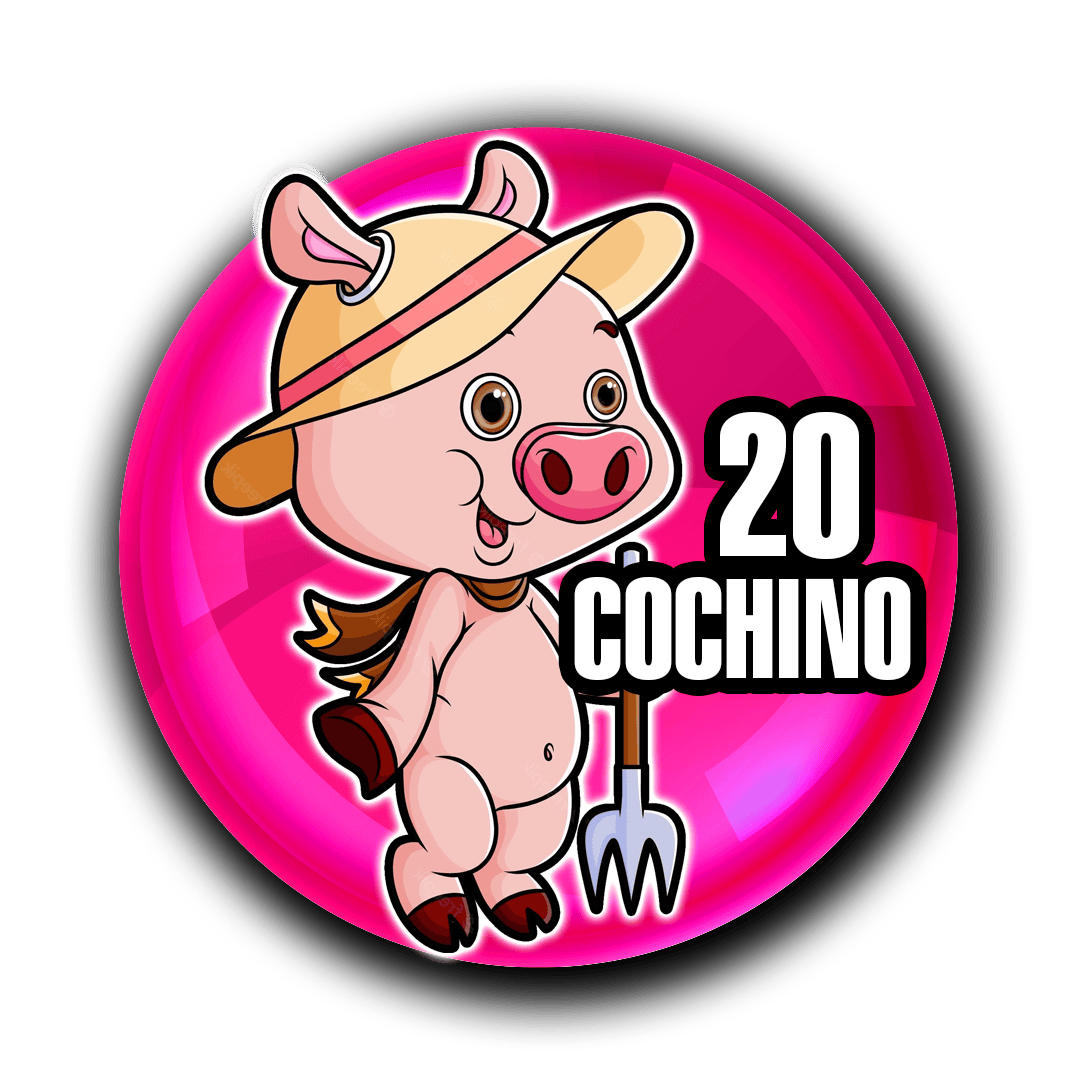 COCHINO