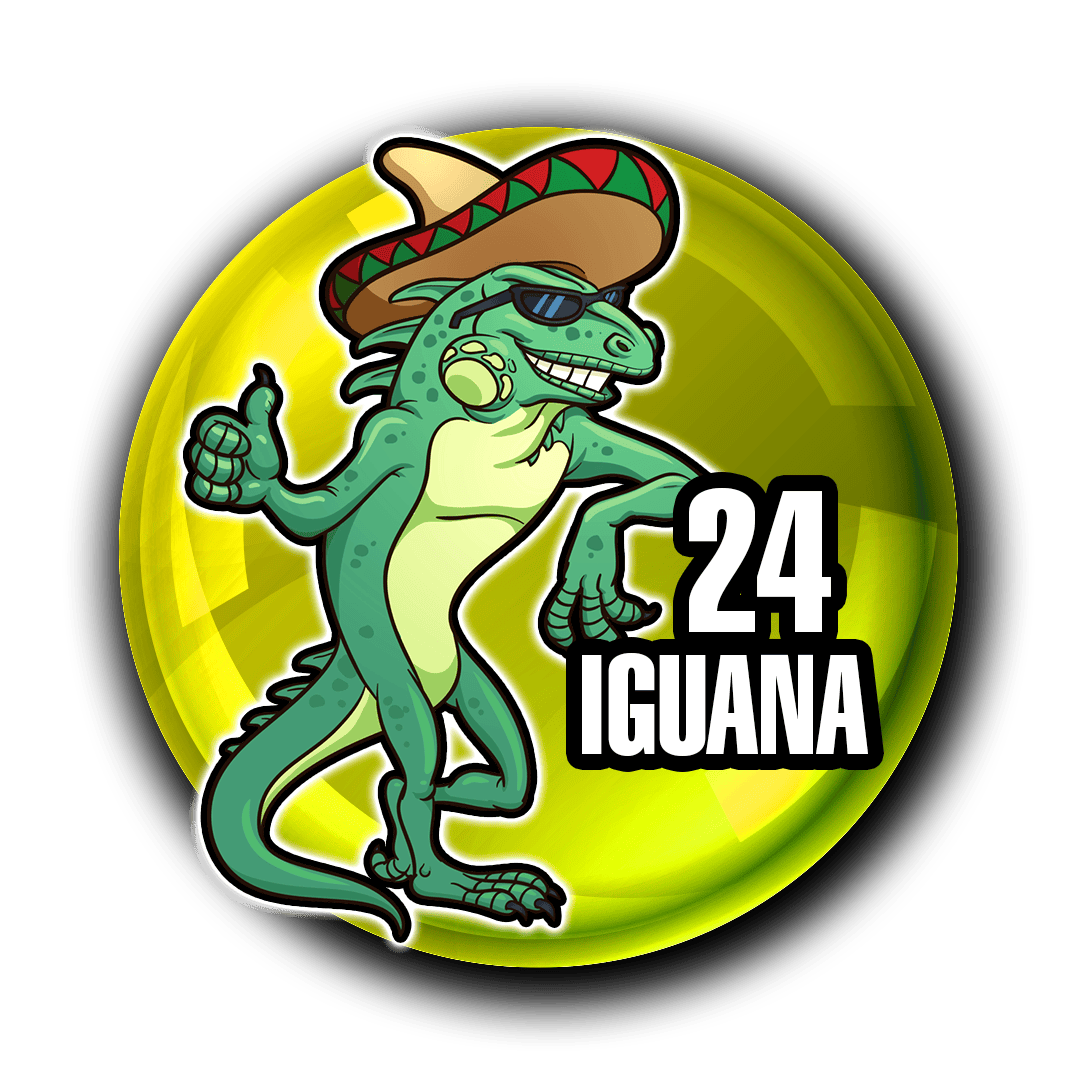 24
