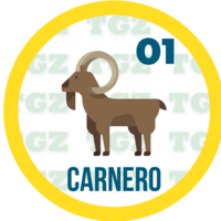 CARNERO