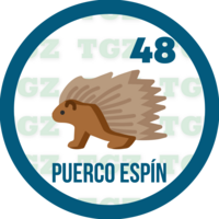 PUERCO ESPIN