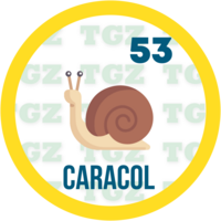 CARACOL