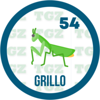 GRILLO