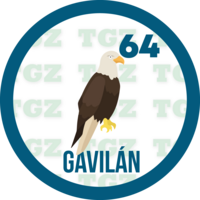 64