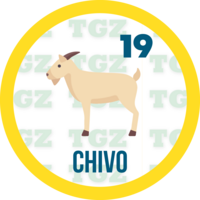 CHIVO