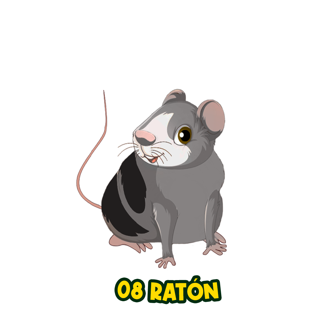 08