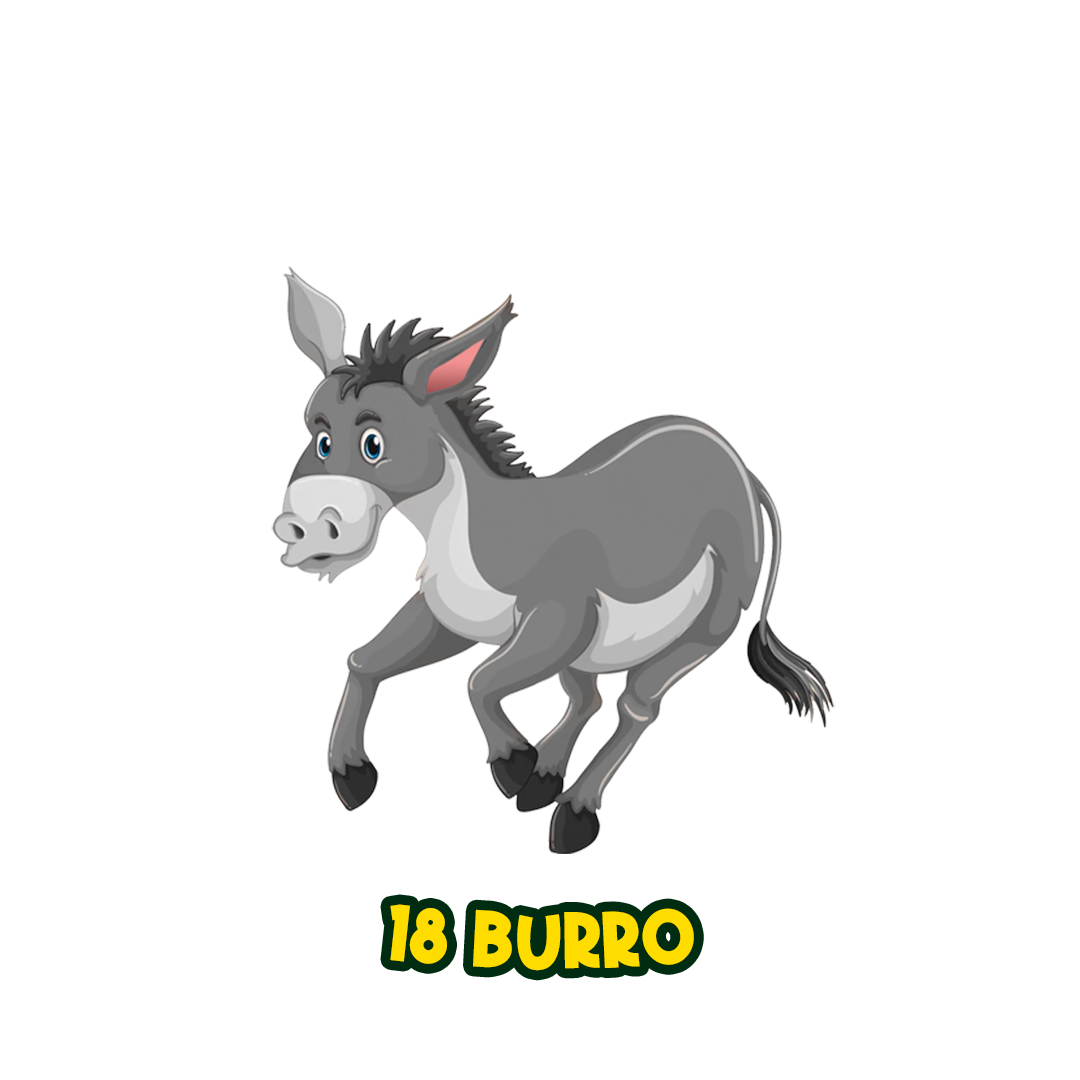 BURRO