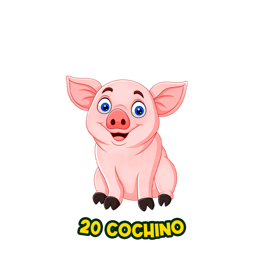20