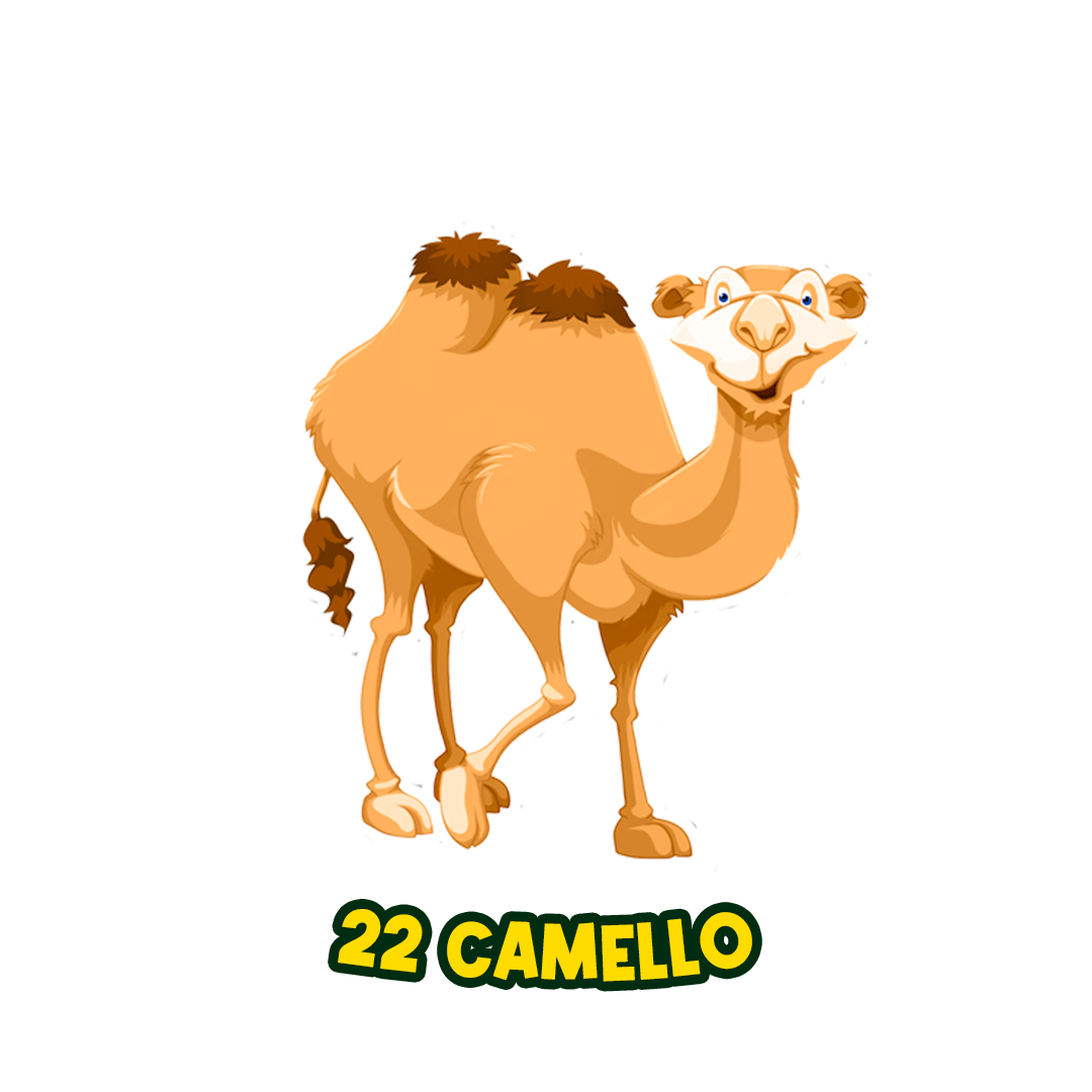 CAMELLO