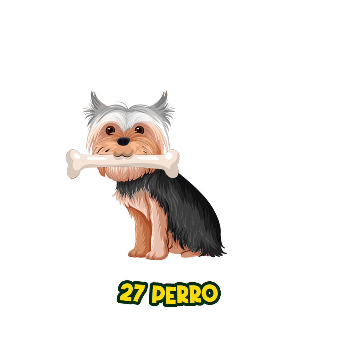 PERRO