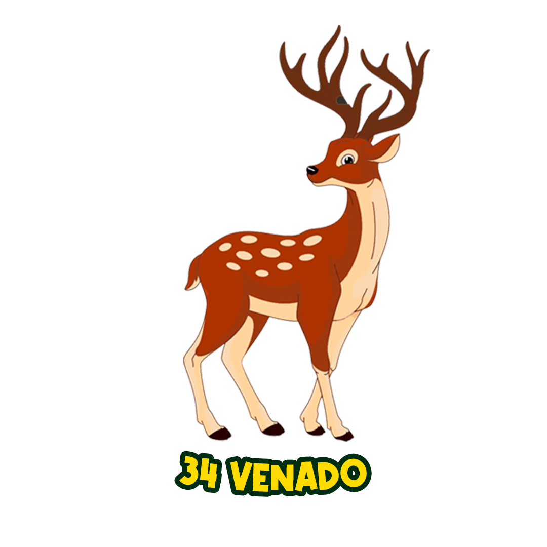 VENADO