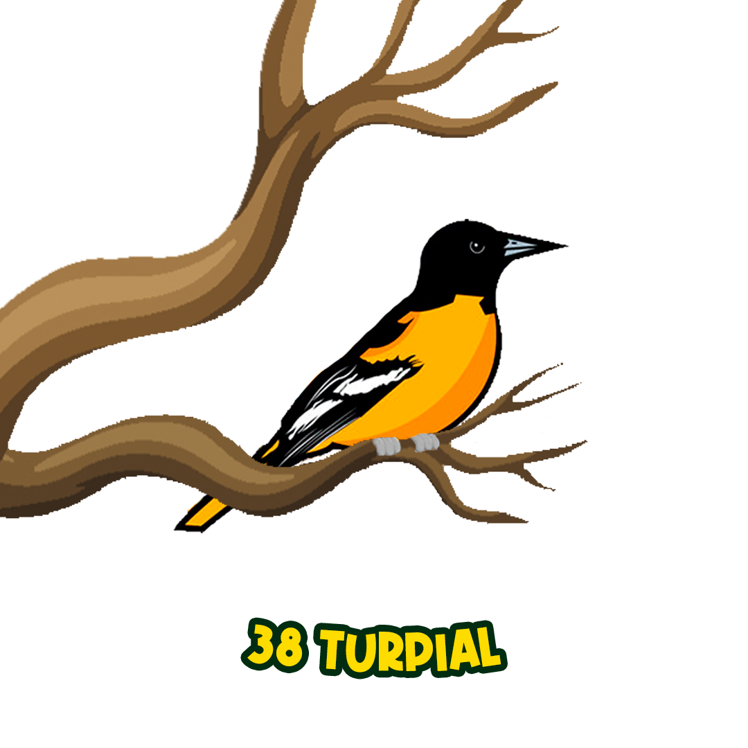 TURPIAL