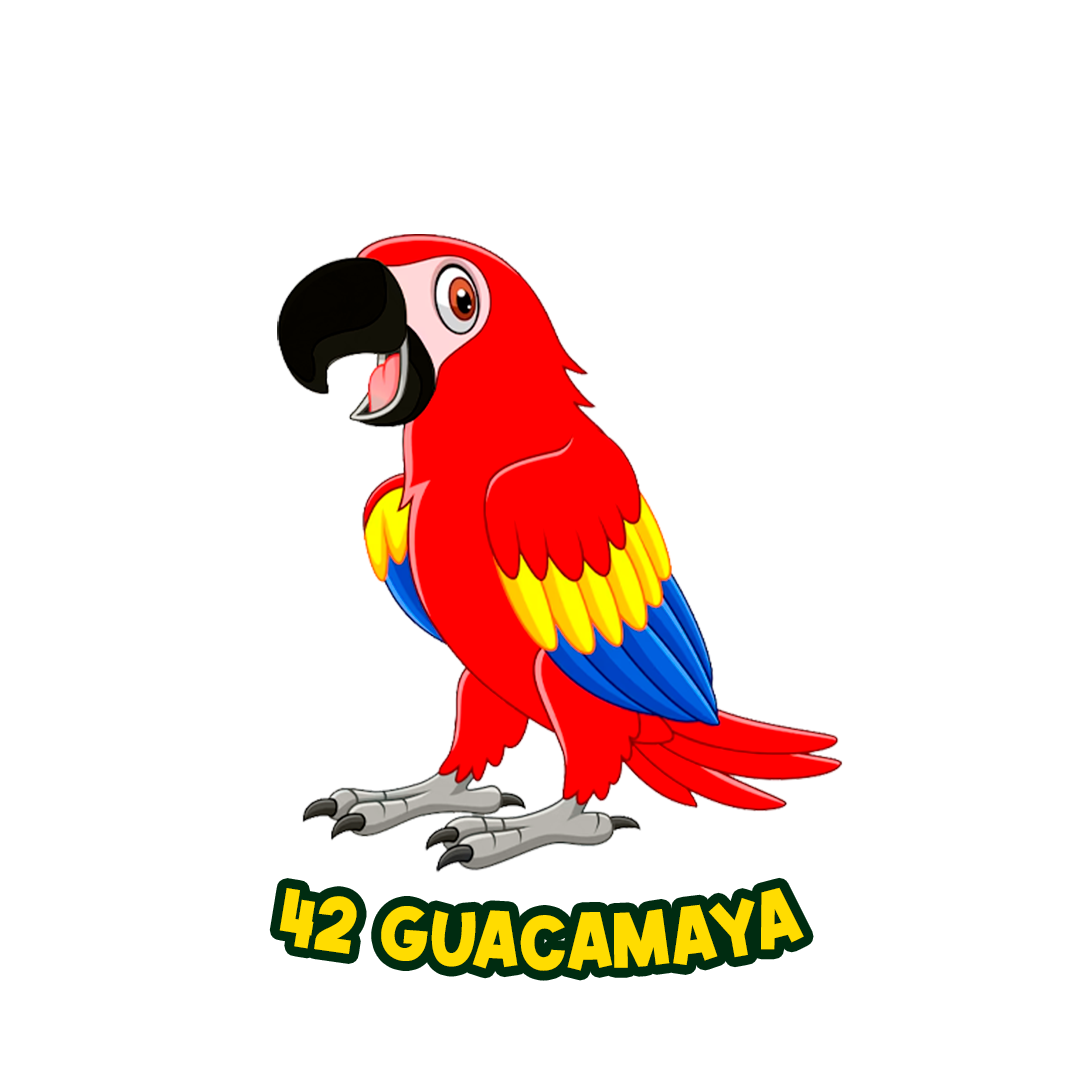 GUACAMAYA