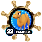 22